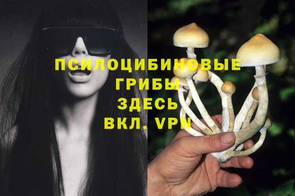 spice Михайловка