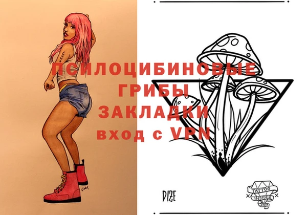 a pvp Михайлов