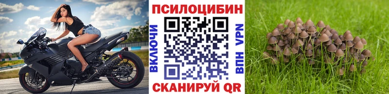 сайты даркнета Telegram  Эртиль  Псилоцибиновые грибы мицелий  мега как зайти 